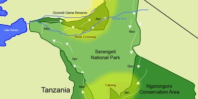 Kaart van tanzania migratie 
